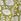 Green Yumi Animal Reversible Quilted 100% Cotton Jacket