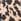 Leopard Friends Like These Medium Square Tote Bag