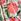 Ivory Floral V&a I Love & Roses Printed Cami Midi Dress With Linen