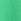 Green Logo Hoodie