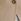 Vaalea beige - Simply Be Tab Detail Pitkäsiima Liivi