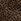 Leopard Print Religion Maeva Shorts In Mixed