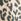 Leopard Smallsaints Back To School Nylon Backpack