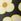 Black Regatta Womens Orla Kiely Swimsuit Ii