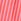 Red Gap Cotton Poplin Striped Shorts