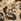 Brown Touch Fasten Strap Printed Trainers