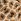 Animal Puma Boys Animal Print Essentials Leggings