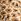 Animal Print Puma Boys Essentials Animal Short Leggings