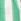 Green Gap Poplin Easy Shorts (4-13yrs)