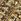 Gold Carvela Pageant Mule Pumps