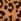 Brown Novo Imelda Two Part Ankle Strap Courts