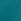 Teal Blue Regular Fit Essential Crew Neck Cotton T-shirt