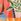 Orange Palm Friends Like These V-neck Shirred Waist Jersey Maxi Dress