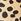 Gepard - Forever Comfort® Spitze Pumps mit Absatz