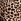 Leopard Brown Victoria's Secret Flannel Shorts Pyjama Set