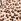 Animal Print Rockett St George Lace Trimmed Midi Skirt