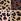 Pink/Brown Leopard Print - Stripe & Stare Original Lace Trim Knickers 4 Pack