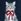 Navy Blue Cat Tank Top