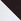 Chocolate Brown/White The Set 2 Pack Hidden Support Cap Sleeve T-shirt