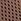 Brown Elastic Lace Trainers