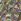 Navy Decorative Floral Fatface Jersey Dress