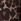 Brown Leopard Print Sweat Top & Joggers Set (3mths-7yrs)