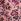Pink Floral Joules Amber Tie Blouse