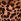 Leopard Brown Victoria's Secret Knickers