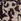 Animal Printed Friends Like These Collarless Dolly Coat