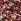 Burgundy Red Glitter Elastic Lace Touch Fasten Trainers