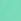 Green Regular Boss Starfish Quick Dry Swim Shorts