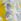 Yellow Regular Boss Discus Printed Swim Shorts
