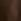Light Brown Regular Polo Ralph Lauren Traveller Swim Shorts