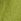 Lime Green Merino Wool N.premium Neck Scarf