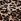 Leopard Print Victoria's Secret Knickers
