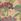 Green Floral Regular Gap Canvas Shorts