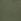Green Long Tall Sally Chino Shorts