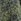 Khaki Green Joules Mina Jersey Ruched Waist Dress