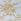 Laura Ashley Walled Garden Duvet 100% Cotton Cover And Pillowcase Set