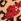 Animal Red Love & Roses Sequin Bow Knit Jumper