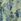 Green Crew Clothing Flutter Sleeve Dress
