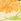 Yellow Floral Friends Like These Satin Printed Multiway Head Scarf