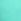 Blue Regular Weird Fish Banning Swim Shorts