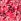 Pink Roman Ditsy Floral Print Keyhole Twist Dress