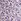 Purple Seasalt Cornwall Larissa 100% Cotton Shirt