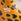 Yellow Leopard Print - Galochas de tornozelo