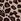 Animal Chantelle Soft Stretch Seamless One Size High Waisted Mid Thigh Shorts