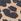 Animal - Zig+star Kids Cosmic Infant Closed Toe Sandals