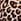 Brown Never Fully Dressed Print Maeva Midi Skirt