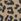 Leopard Toms Marin Slide Sandal